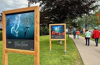 Outdoor-Rahmen für Fotoausstellung (Bild: Stephan Fürnrohr)