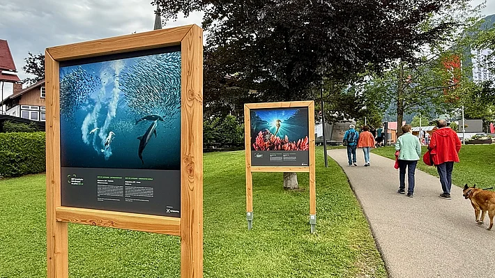 Ein starkes Stück Handwerk: Diese Rahmen für den Fotogipfel 2025 entstanden in unserer Werkhof-Schreinerei.