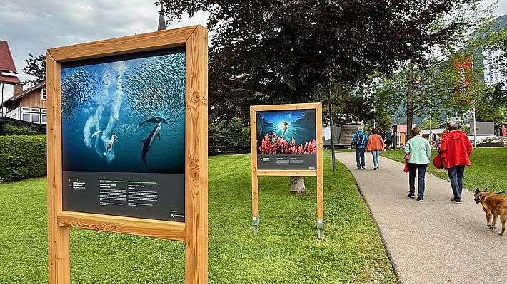 Ein starkes Stück Handwerk: Diese Rahmen für den Fotogipfel 2025 entstanden in unserer Werkhof-Schreinerei.