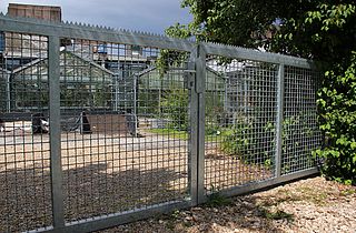 Zweiflügliges Eingangstor