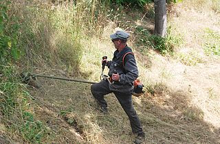 Arbeiten mit dem Freischneider