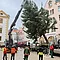 Der Christbaum 2025 schwebt vom Transport-LKW zur Bodenhülse – der Beginn eines festlichen Vorweihnachtszaubers vor dem Alten Rathaus in Regensburg.