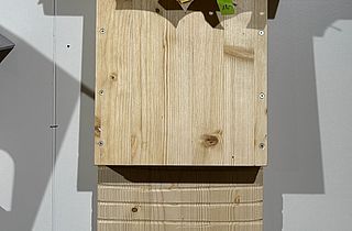Fledermauskasten