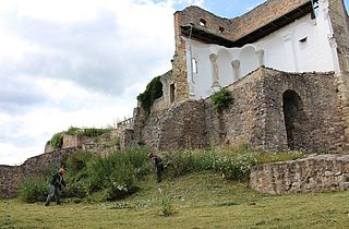 Pflegearbeiten Burganlage Donaustauf