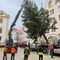 Der Christbaum 2025 schwebt vom Transport-LKW zur Bodenhülse – der Beginn eines festlichen Vorweihnachtszaubers vor dem Alten Rathaus in Regensburg.