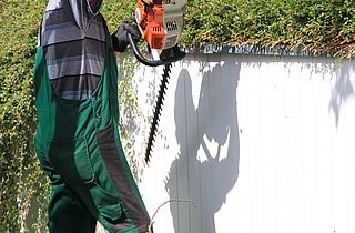 Pflegearbeiten Bodendecker