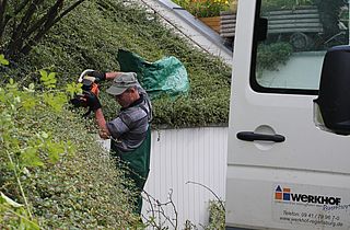 Pflegearbeiten Bodendecker