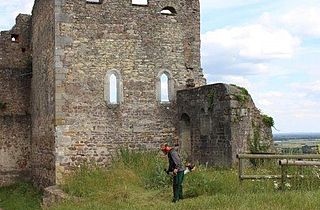 Pflege öffentlicher Grünanlagen