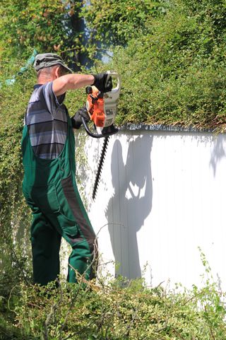 Pflegearbeiten Bodendecker