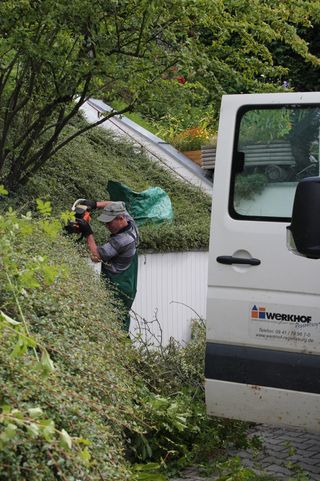 Pflegearbeiten Bodendecker